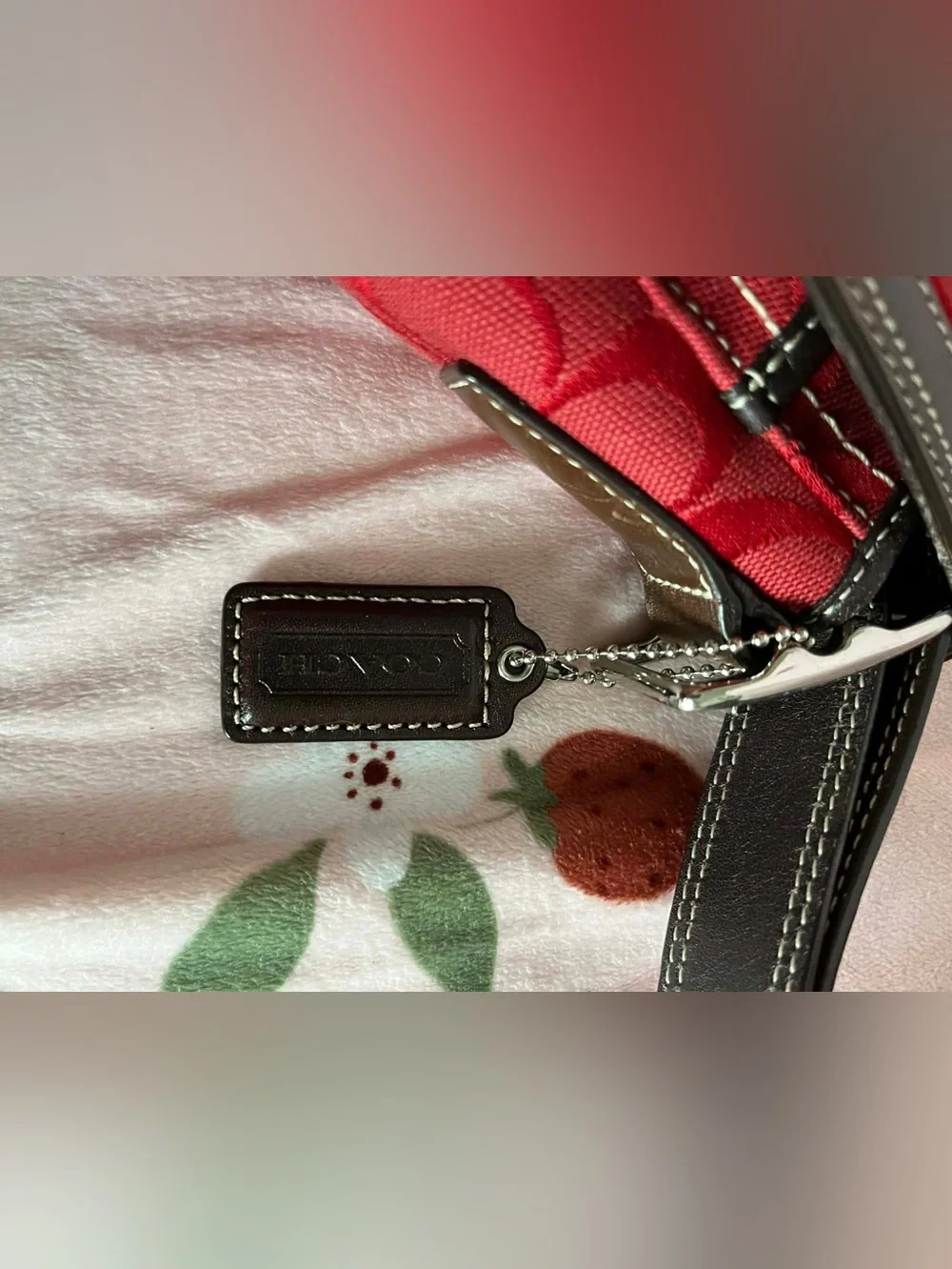 Vintage Coach